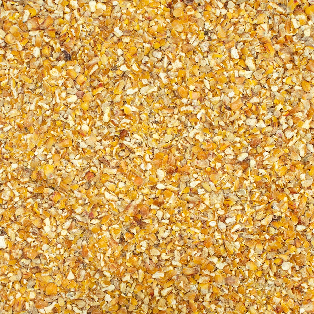 Bio-Maisbruch