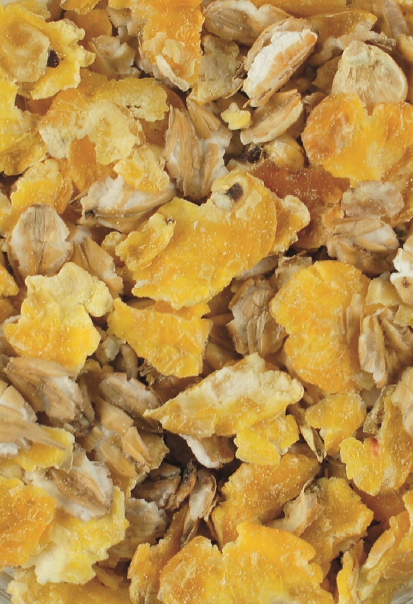 Produktansicht - LEXA - Kraftflocken