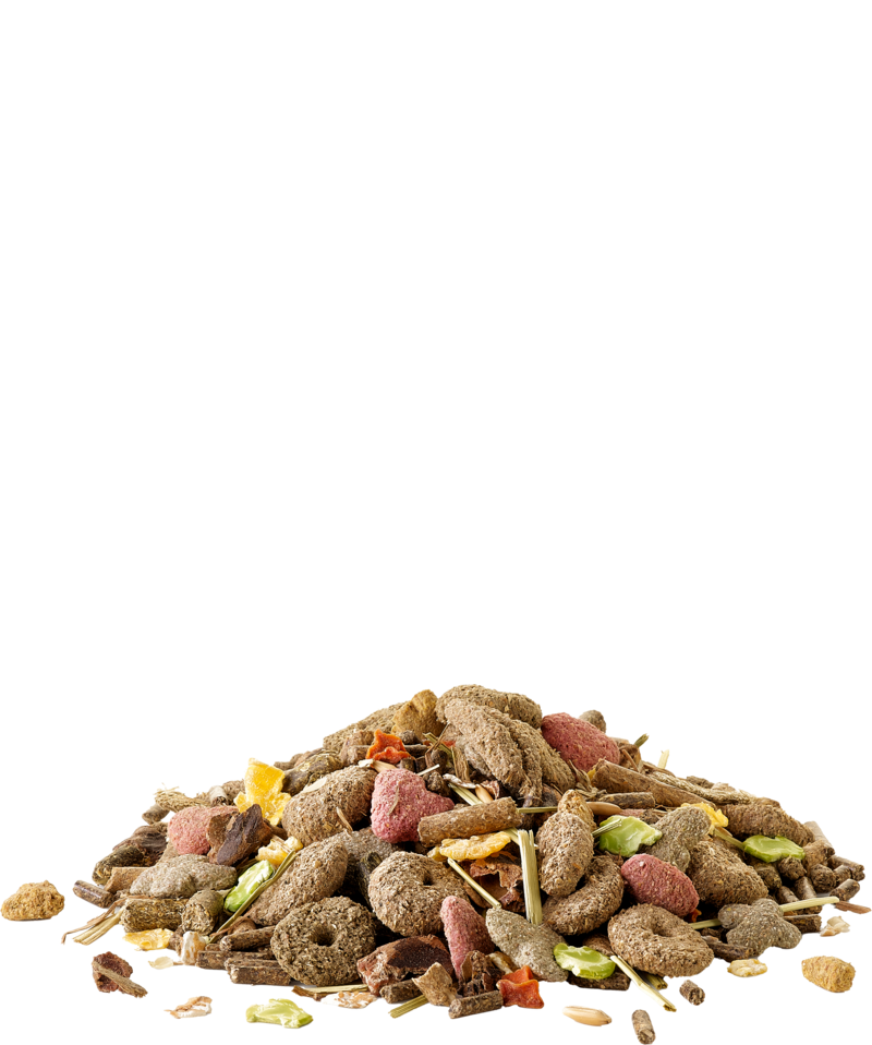 Müsli Kaninchen