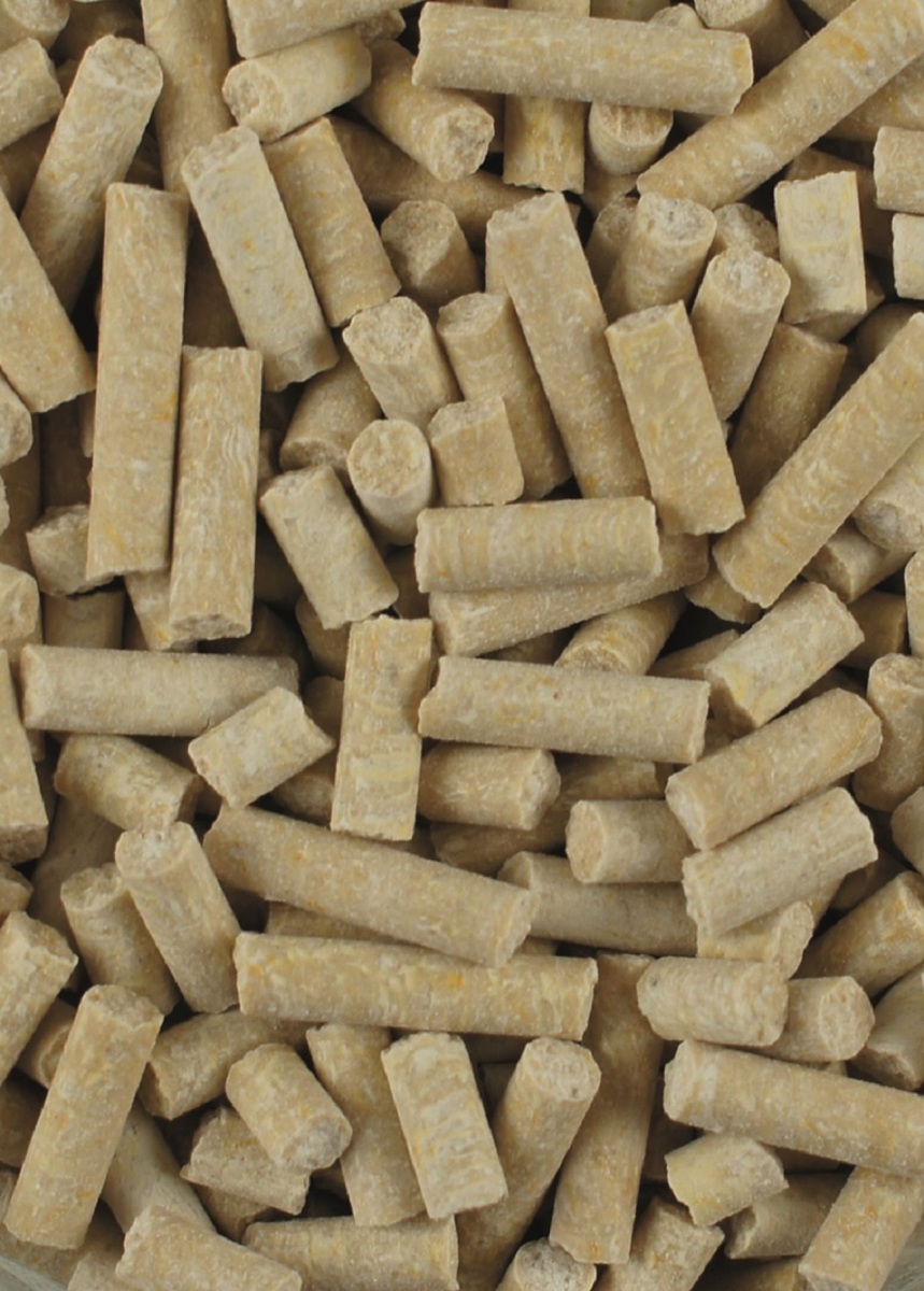 Produktansicht - LEXA - Mag proSport