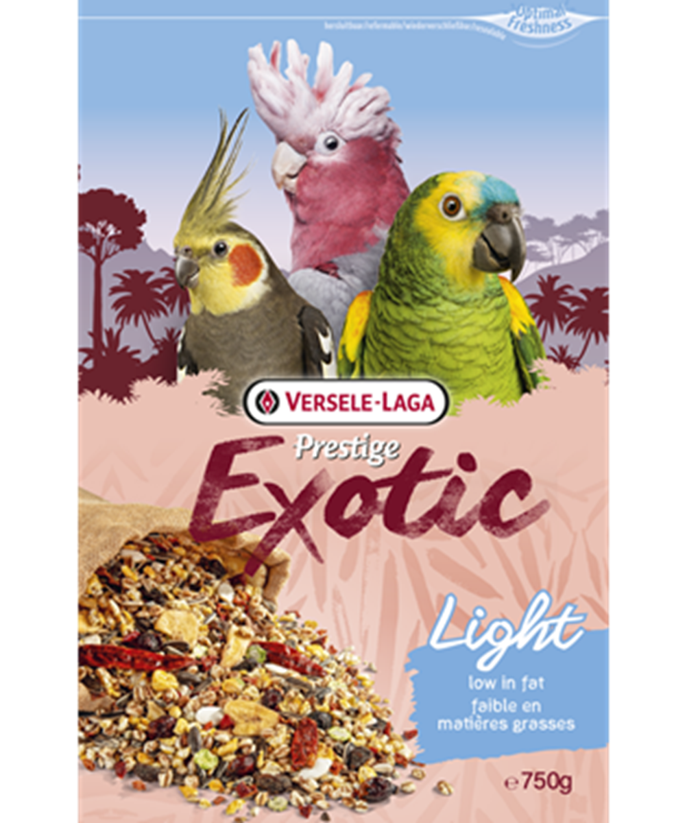 Premium Papageien Exotic Light Mix