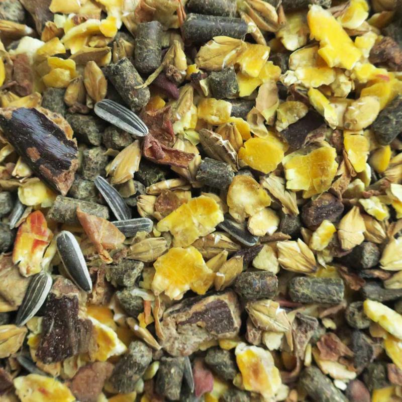 Eohippos Indian Summer 2.0 Detailbild Müsli