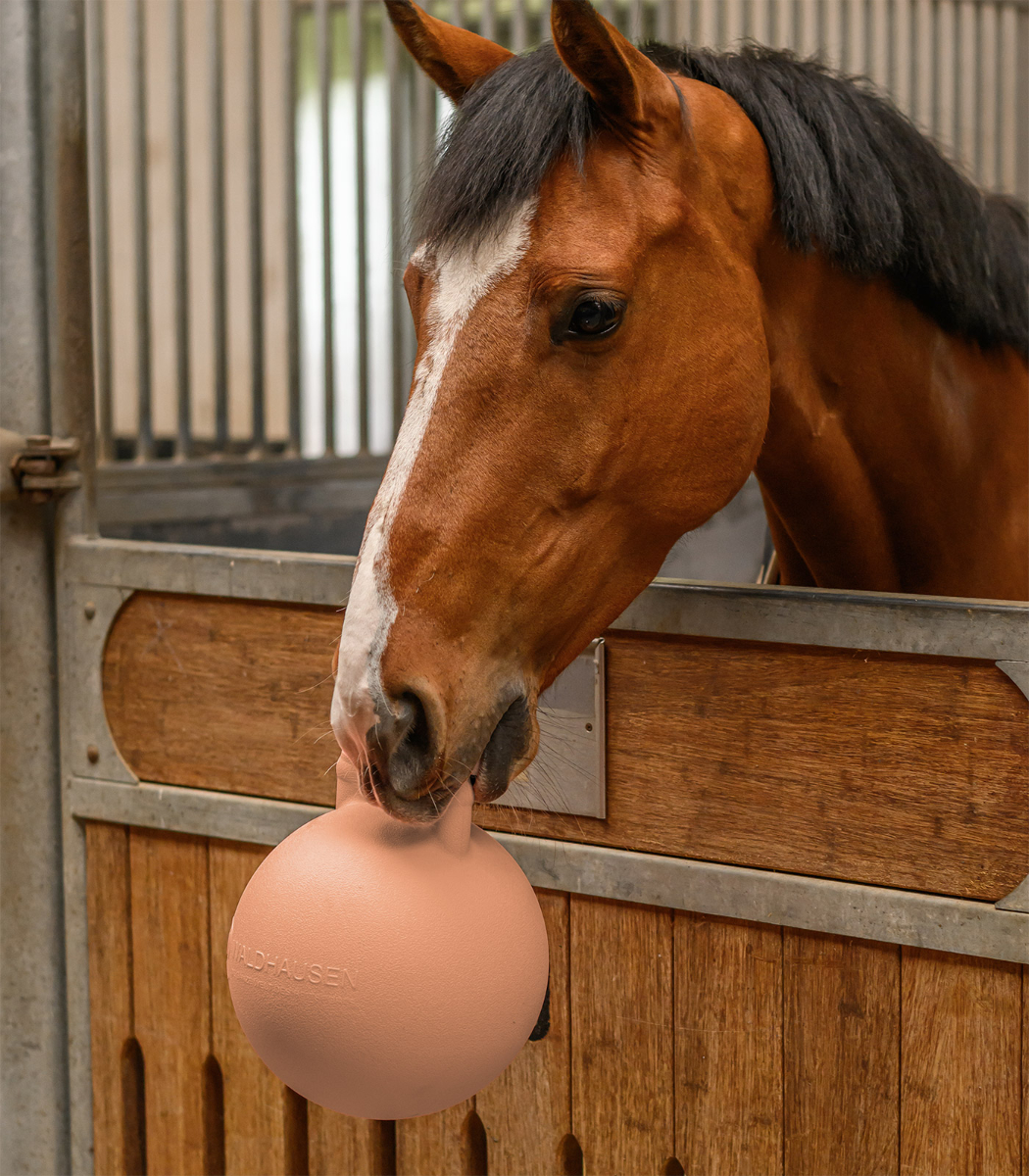 Fun Ball
