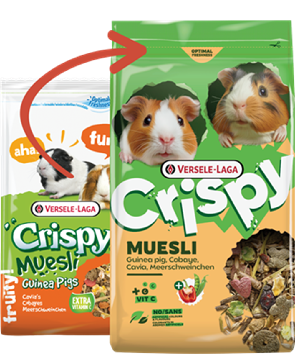 Müsli Meerschweinchen