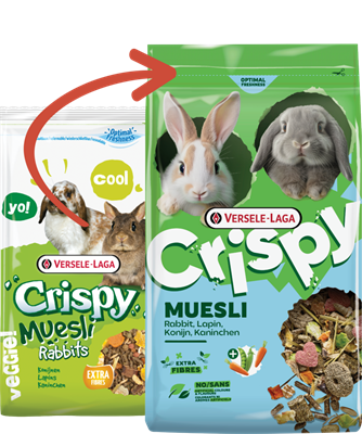 Müsli Kaninchen