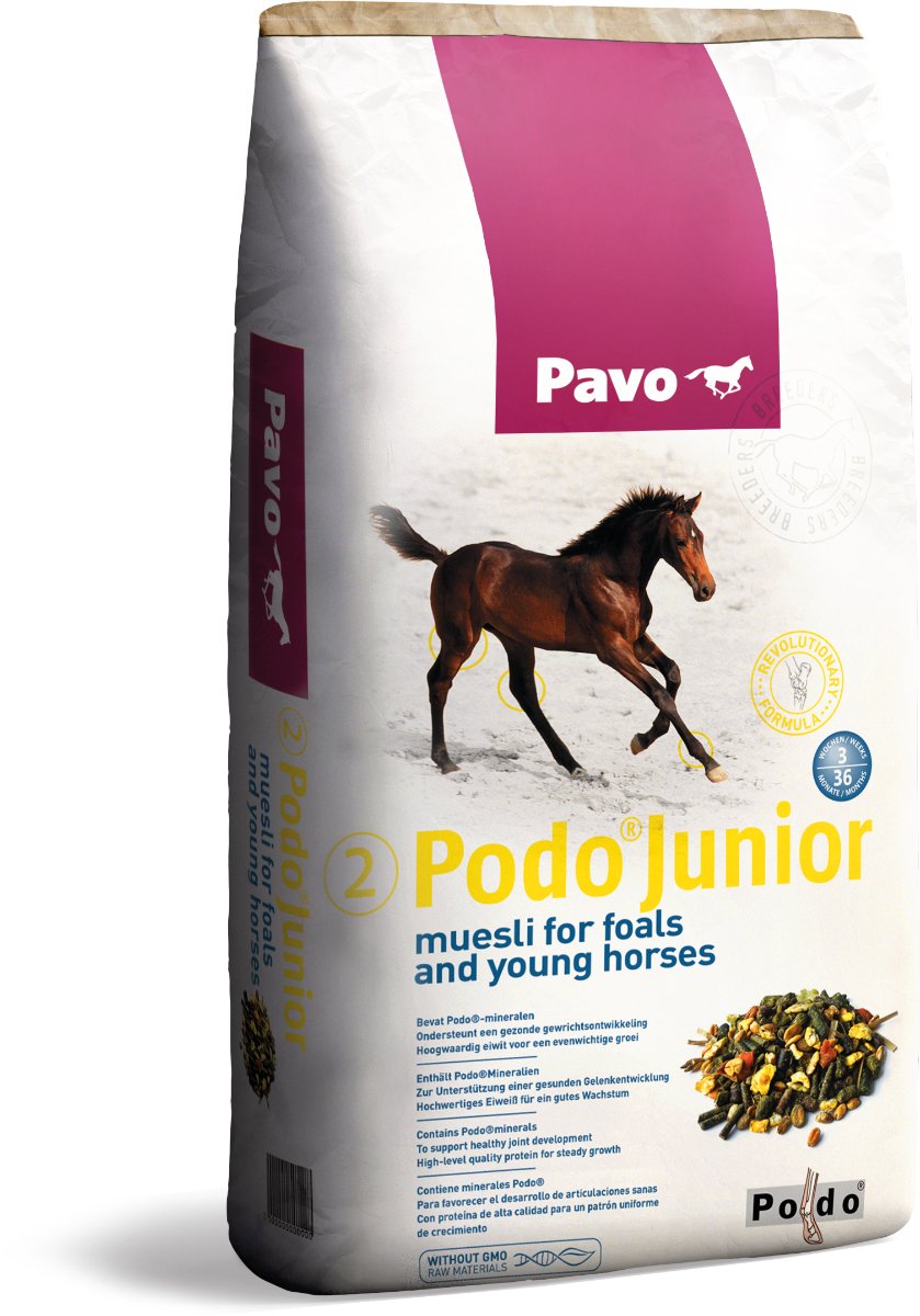 Podo Junior