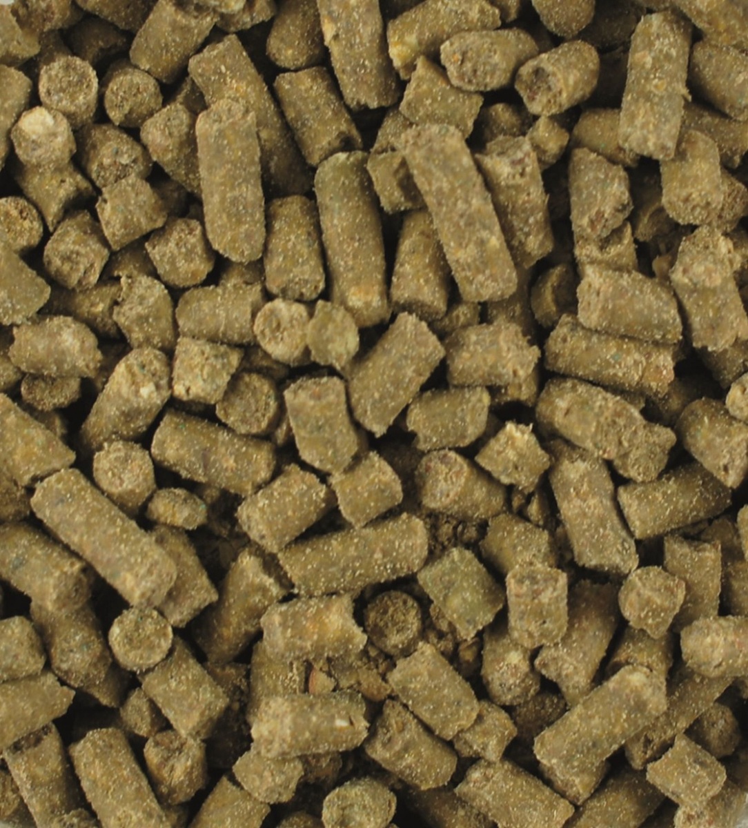 Produktansicht - LEXA - Biotin-Plus