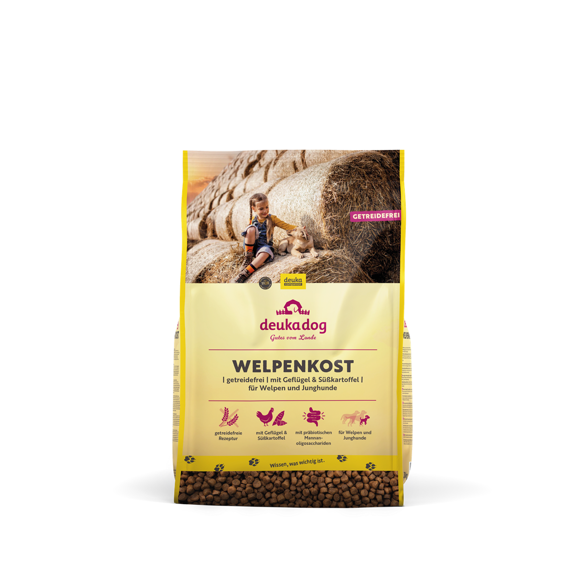 Welpenkost