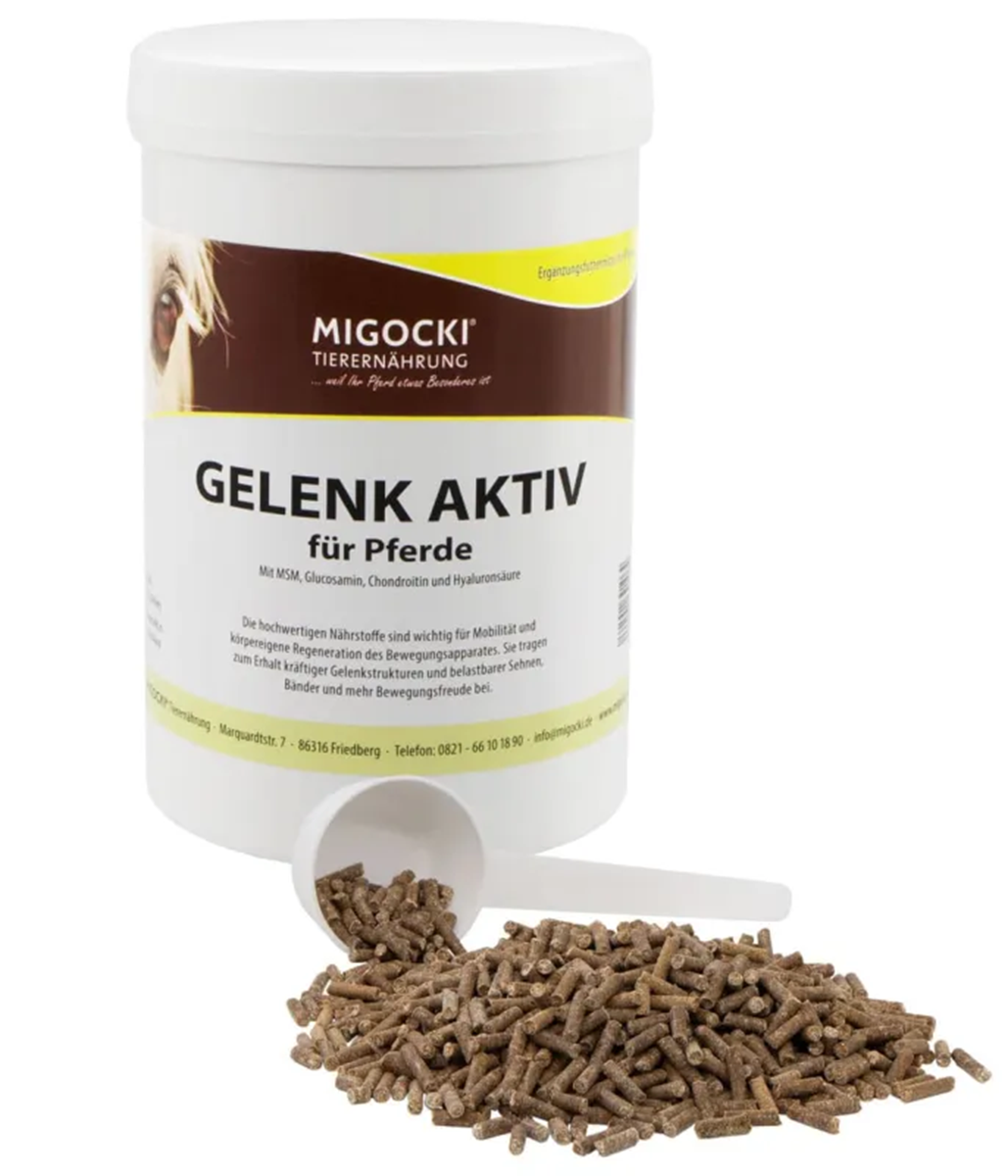 GELENK AKTIV für Pferde