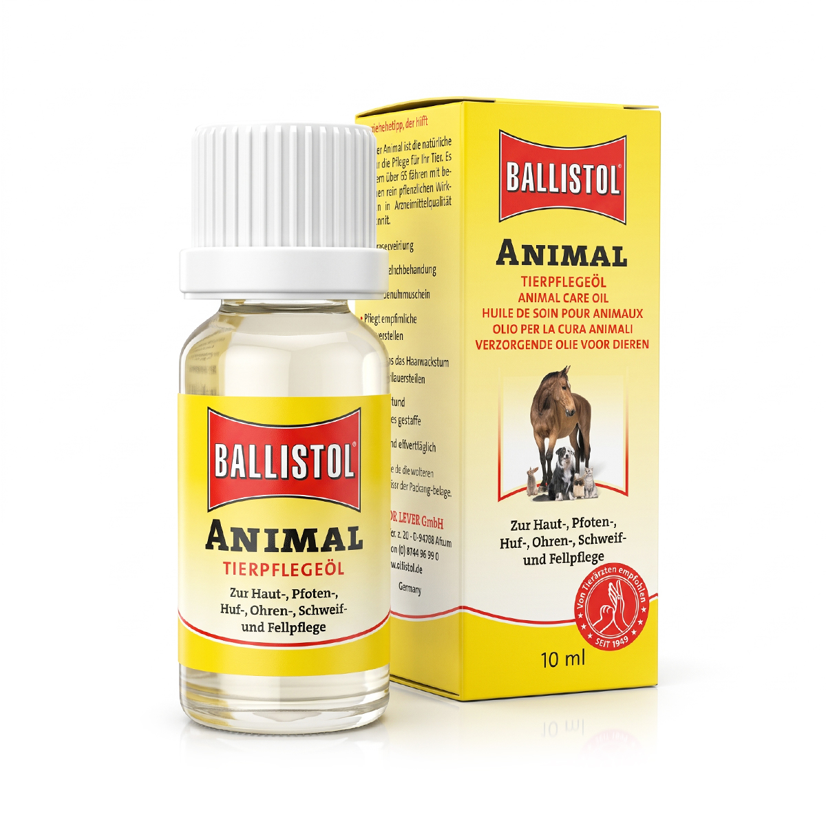 Animal