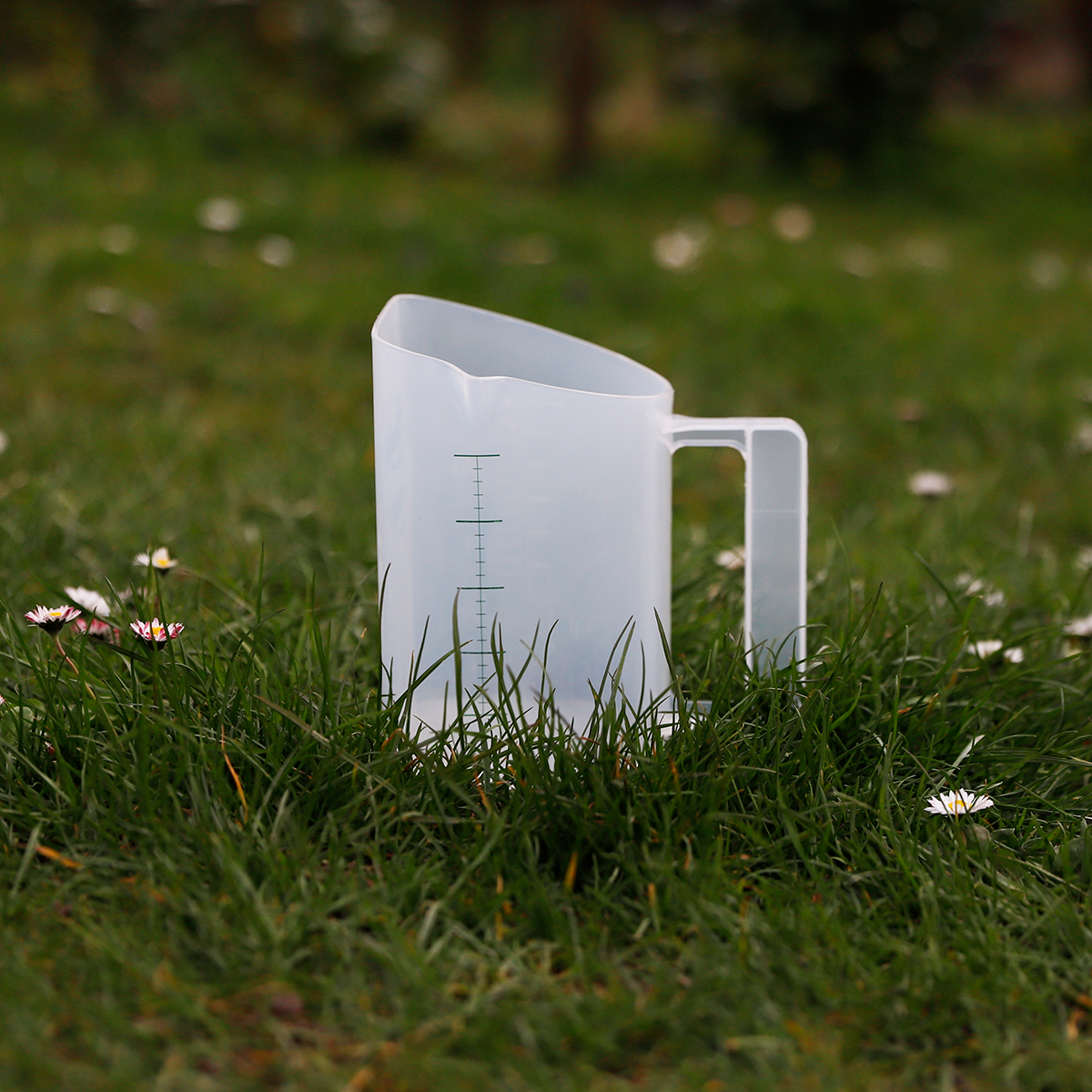 Futterbecher transparent