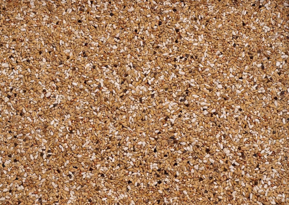 Produktansicht - Beyers - Original 23 - Säuberung