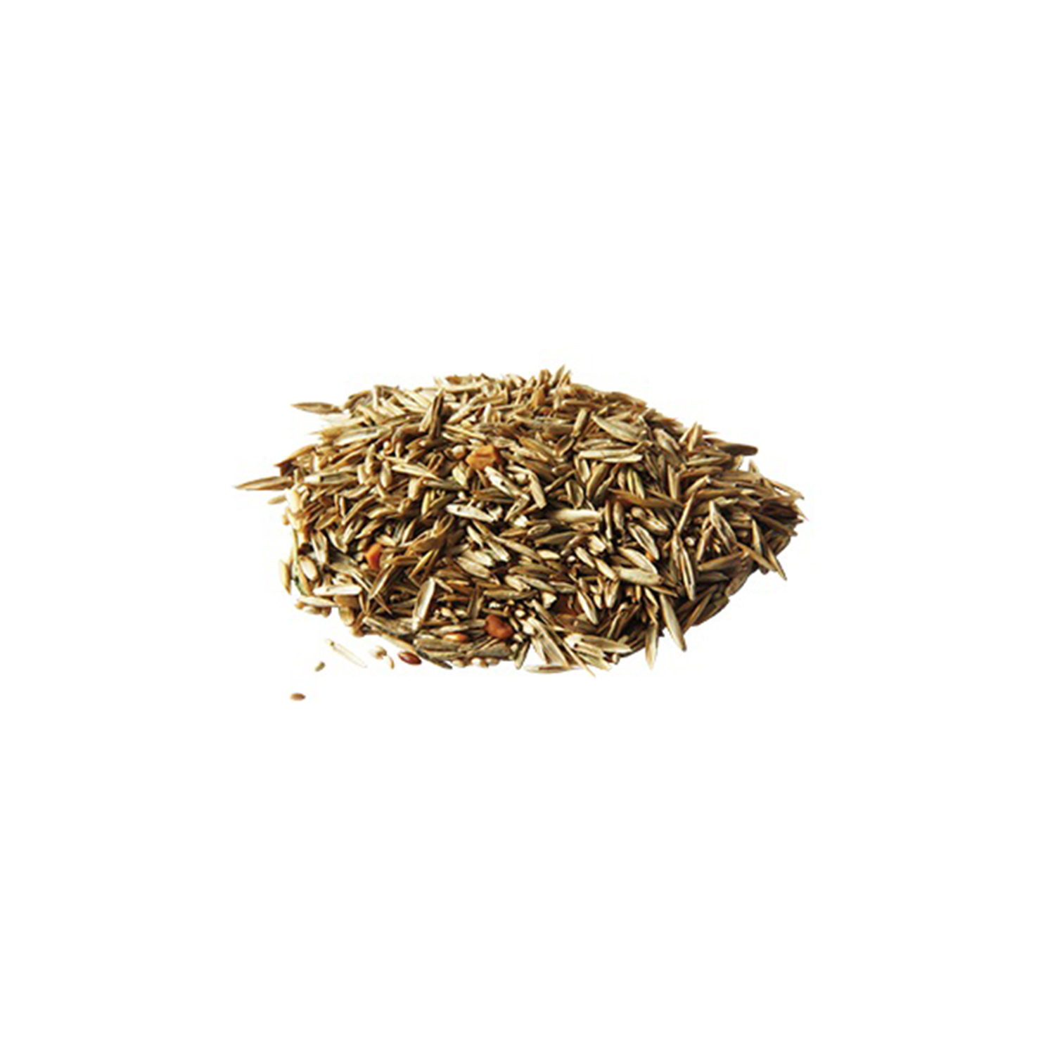 Pavo GrassSeed Detail