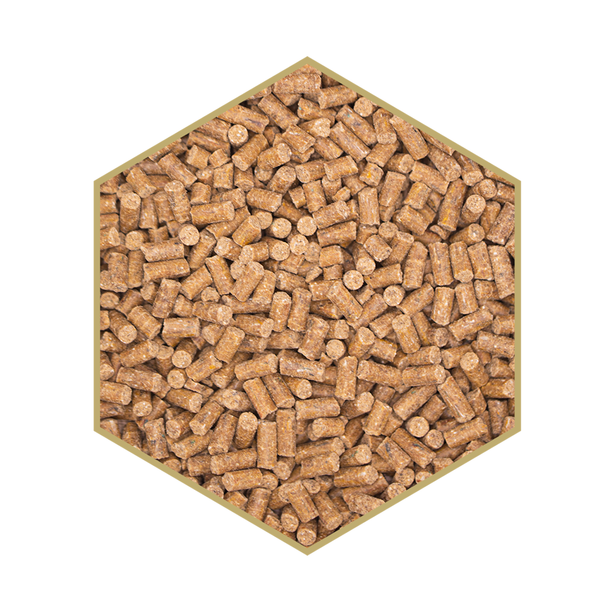 WES Bodyguard