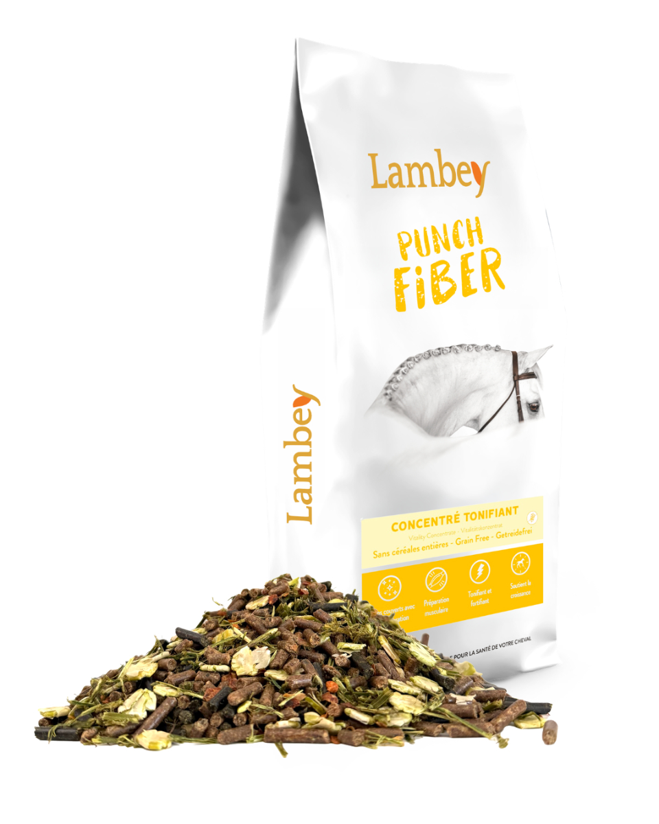 Punch Fiber