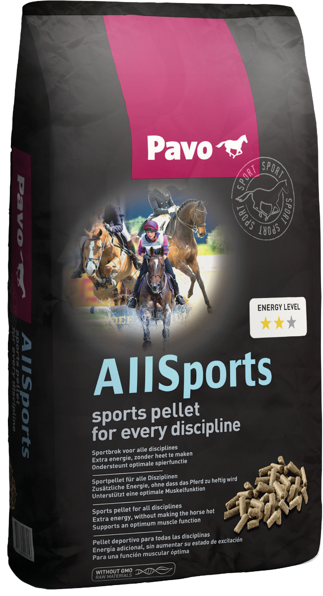 AllSports