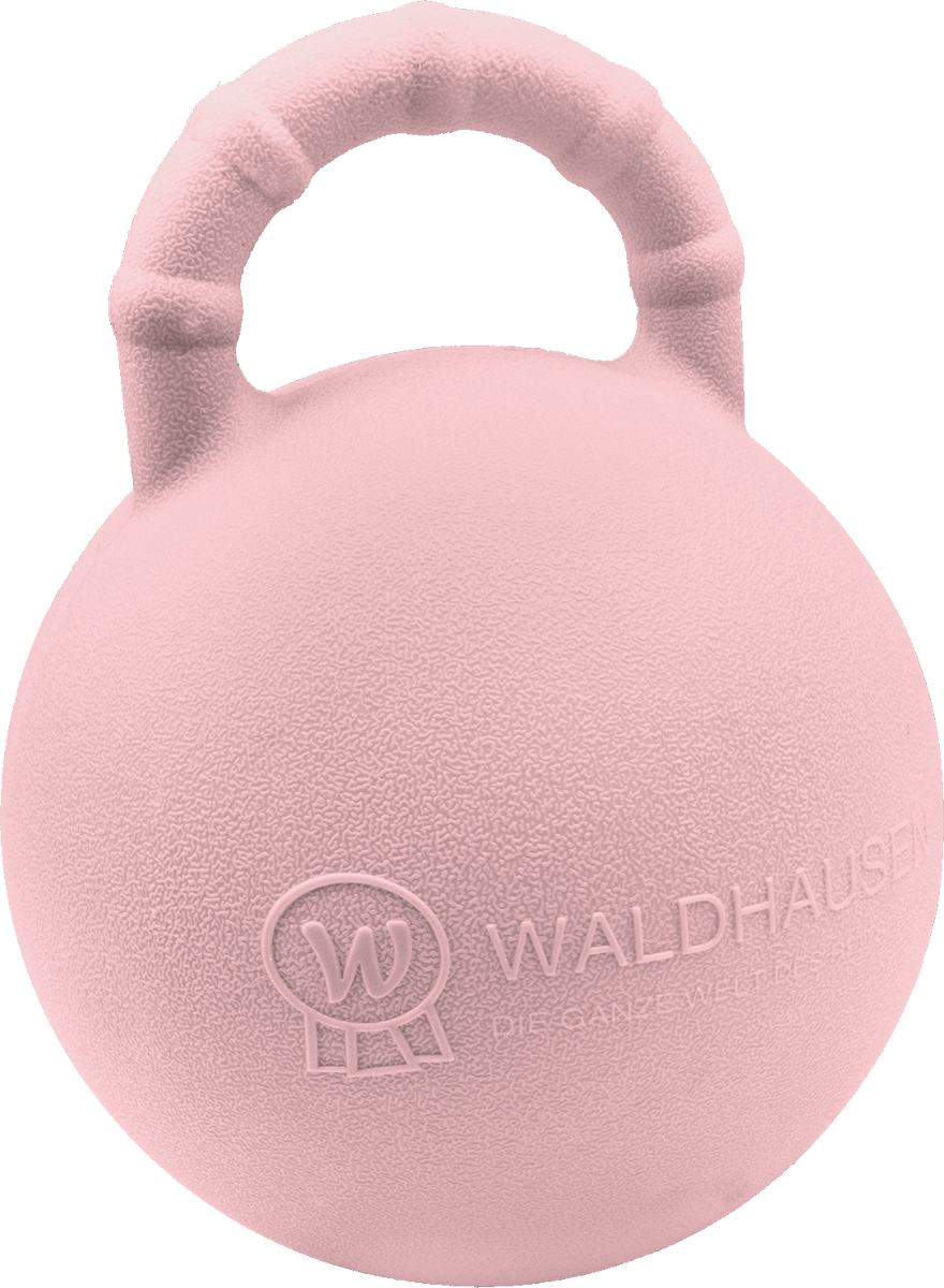 Fun Ball