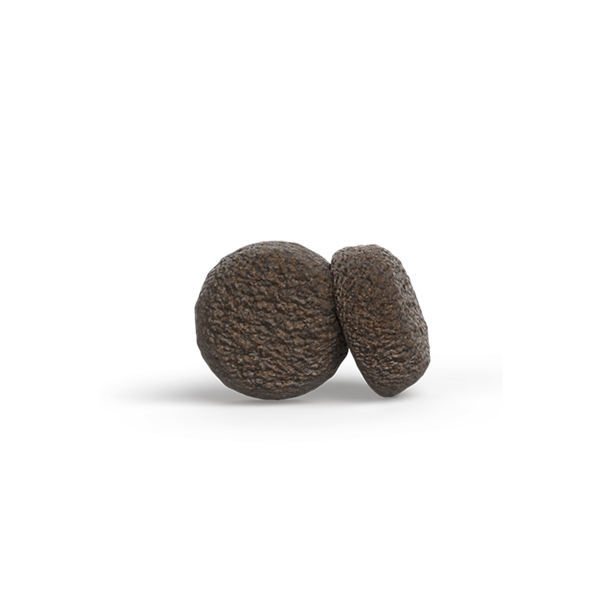 Dog High Protein with Insects