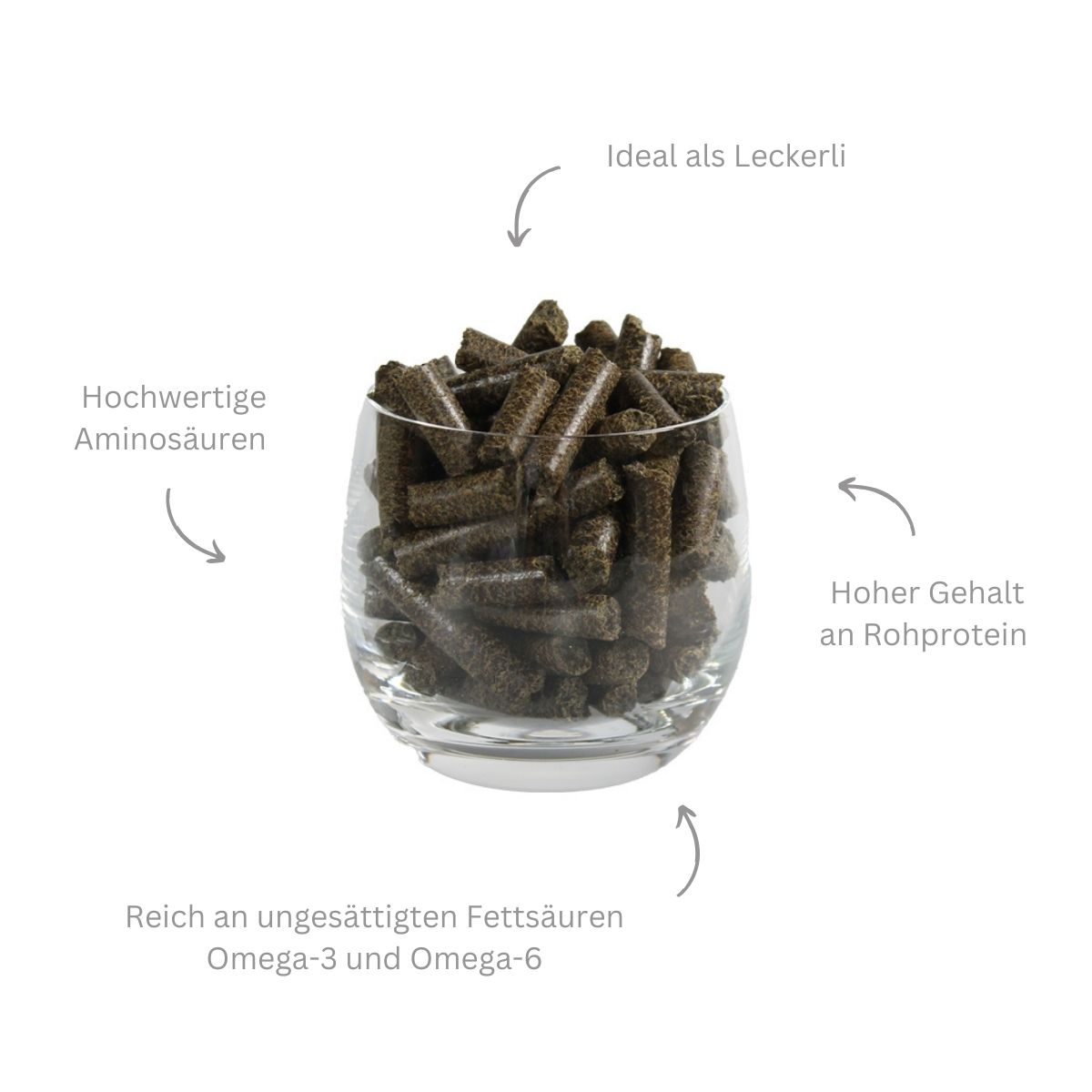 Ergänzungsfuttermittel Leckerli Alternative Pferd