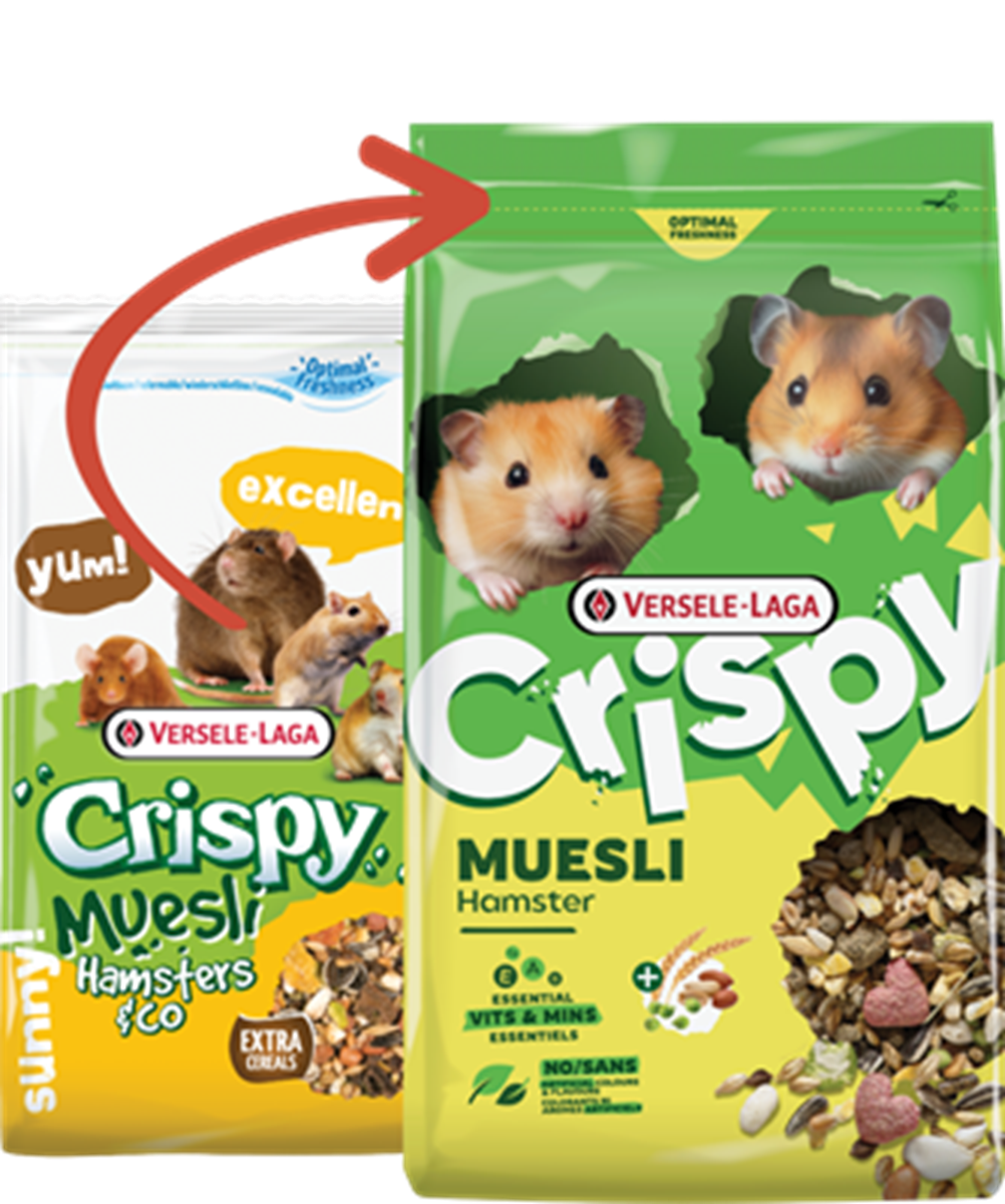 Müsli Hamster