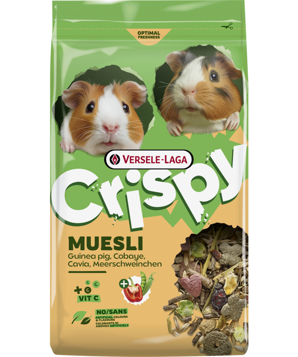 Müsli Meerschweinchen