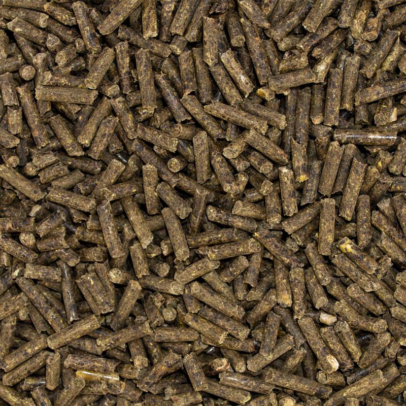 Speed ELECTROLYTE boost Detail