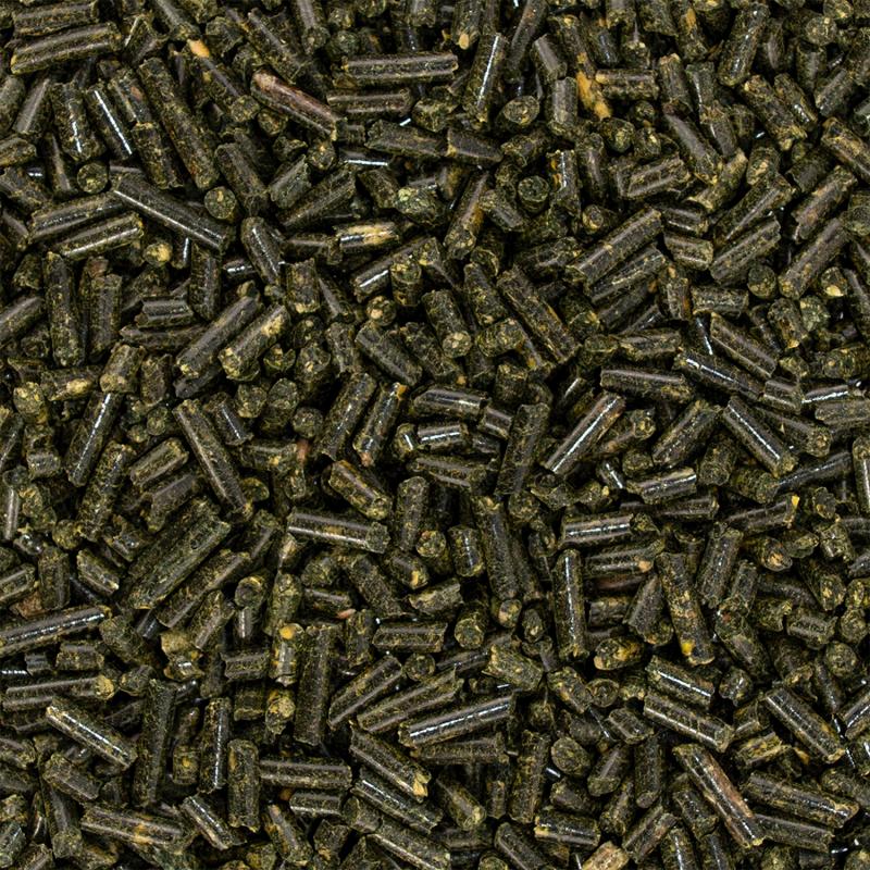 Speed MUSCLE boost Detail