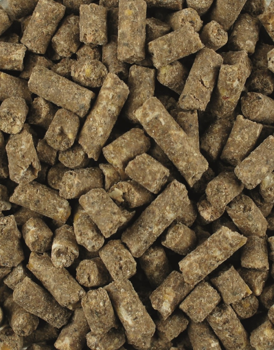 Produktansicht - LEXA - High-Performance