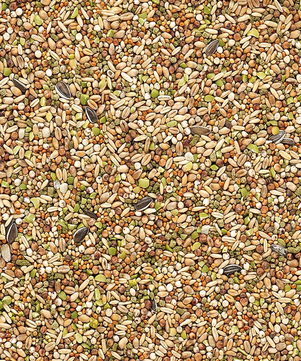 Snack Garden Mix