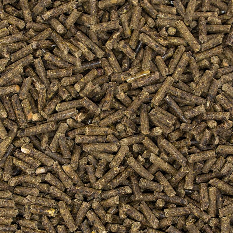 Speed ZINC boost Detail