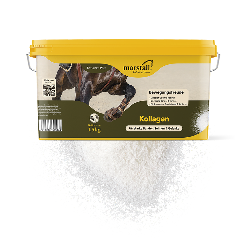 Kollagen