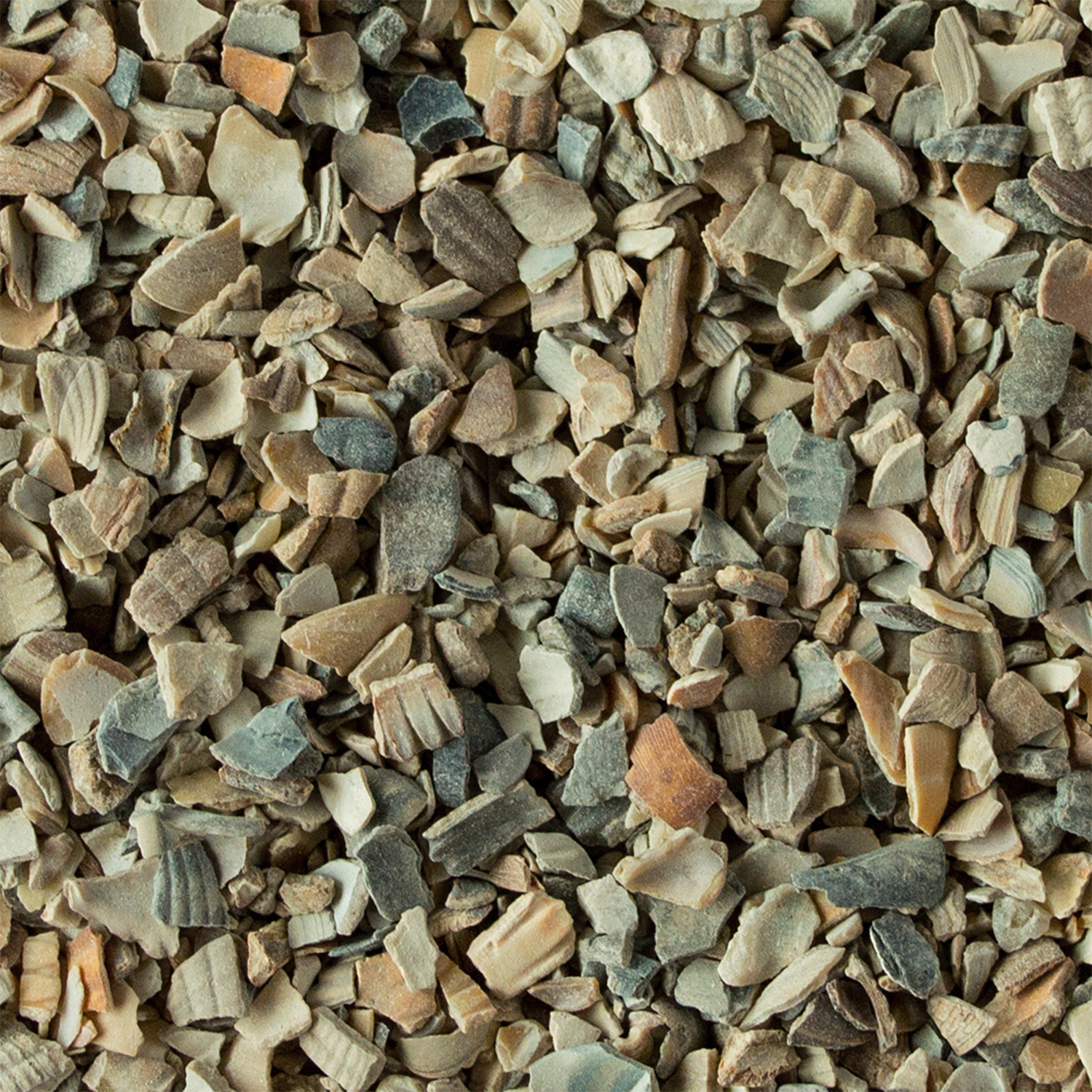 My little Farm Muschelkalk Detailbild Muschel