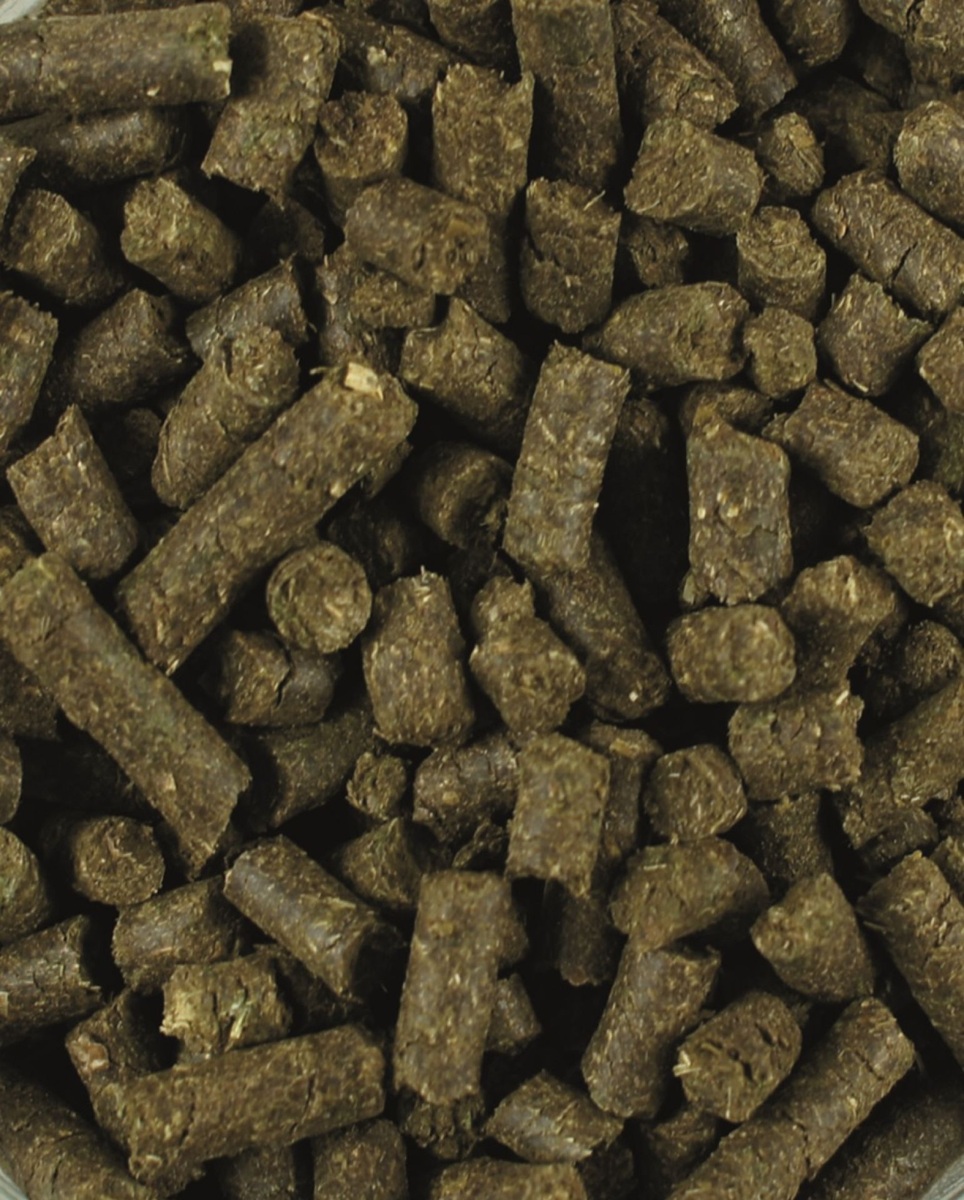 Produktansicht - LEXA - Bronchi-Vital