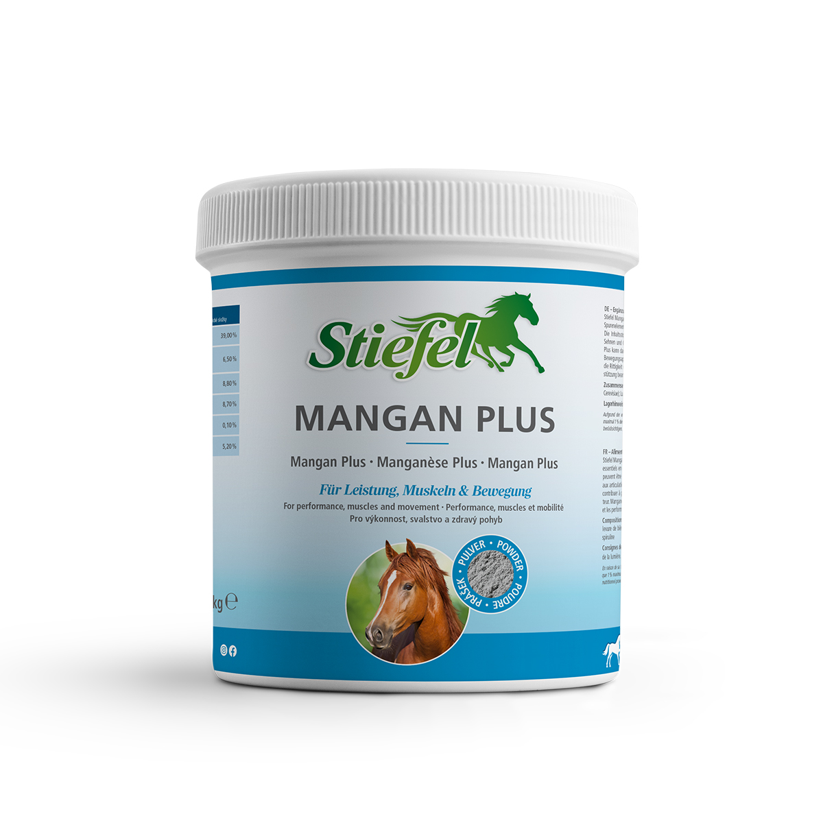 Mangan Plus