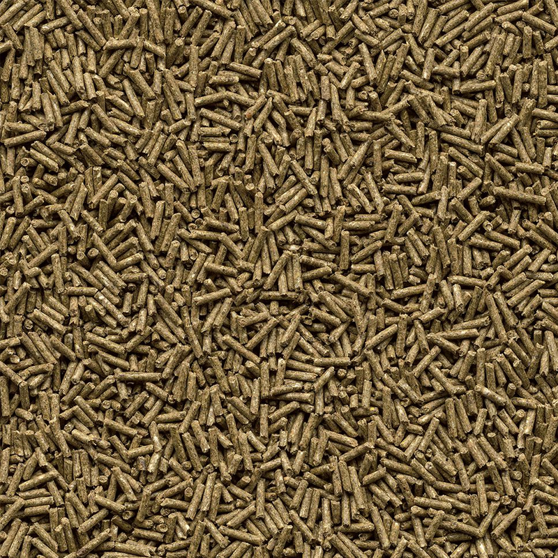 Galopp Zucht Detailbild Pellet