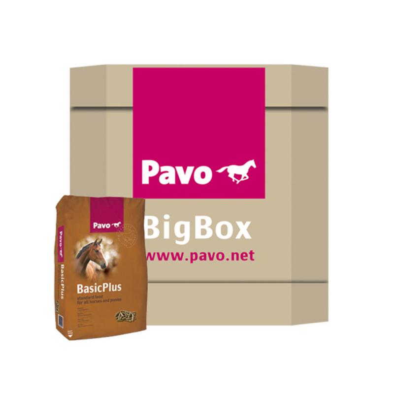 Pavo Basic Plus BigBox