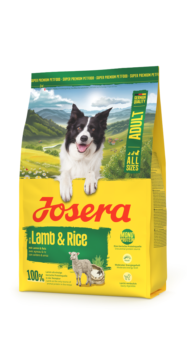 Adult Lamb & Rice