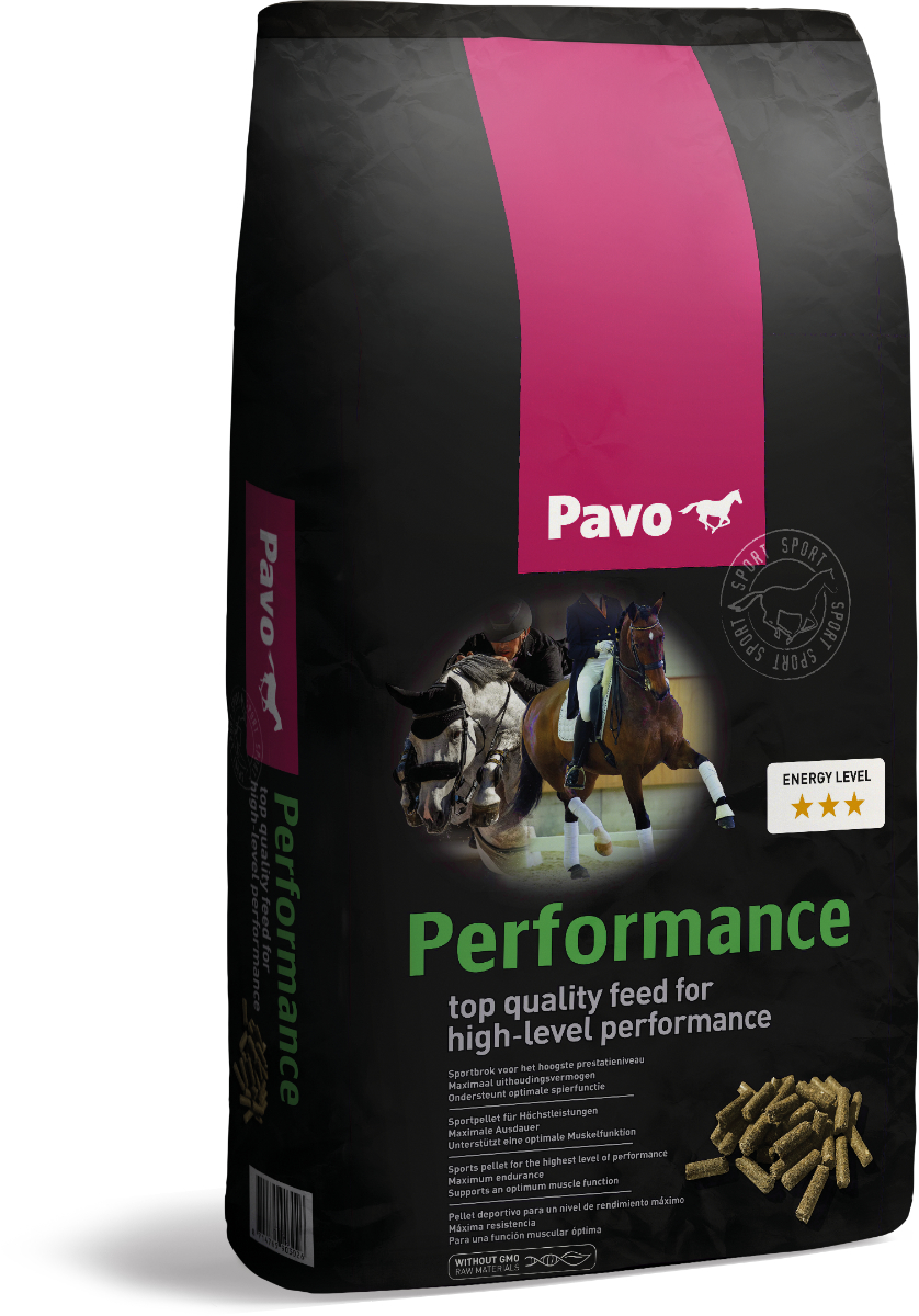 Performance