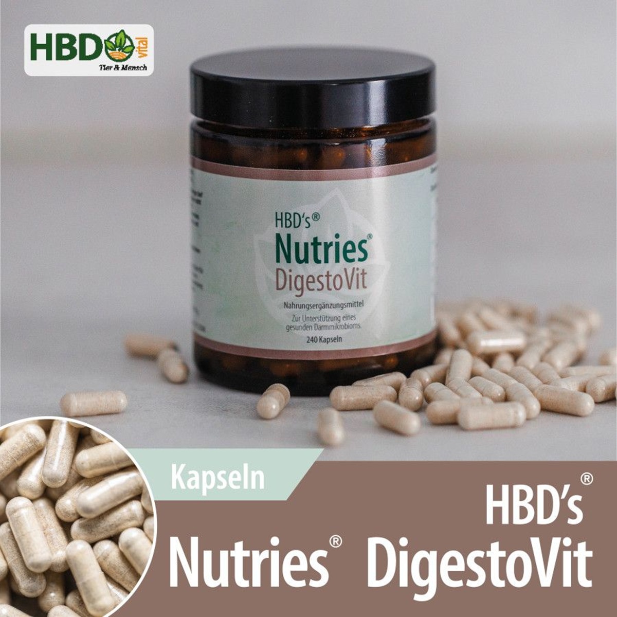 Nutries® DigestoVit