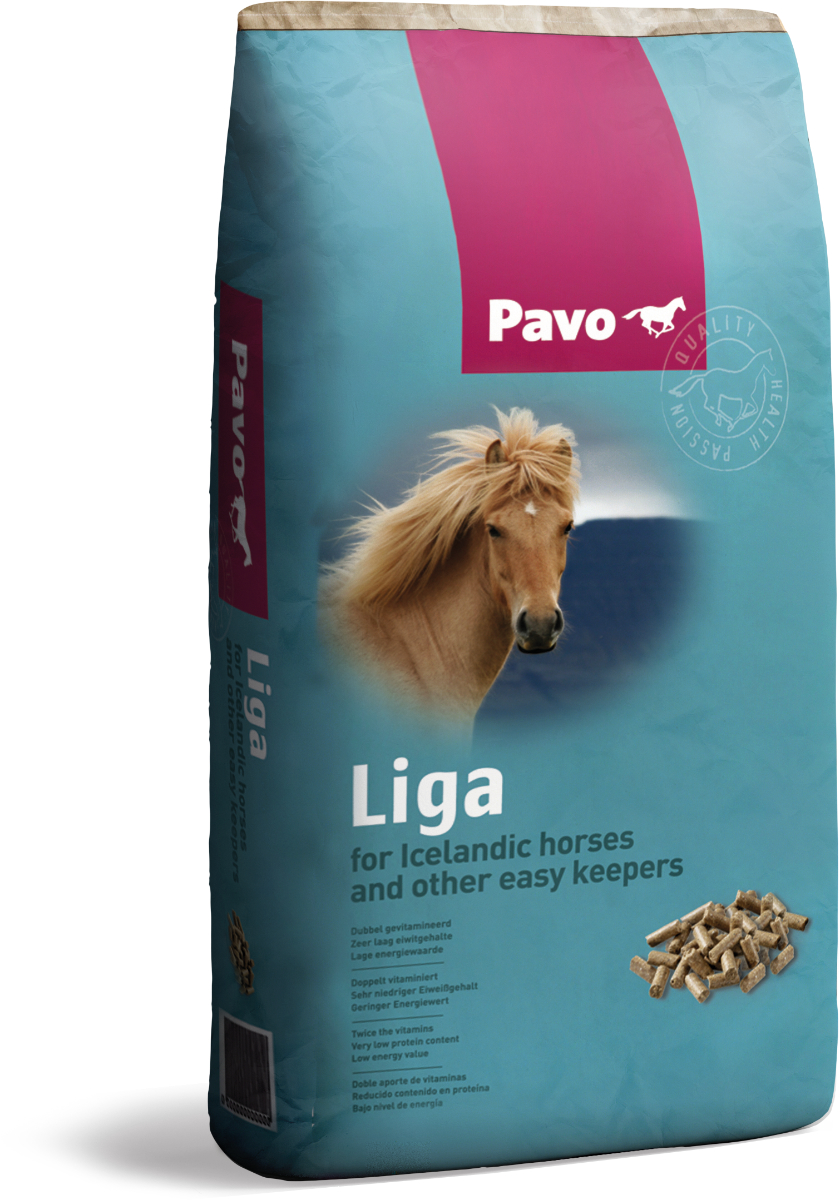 Liga