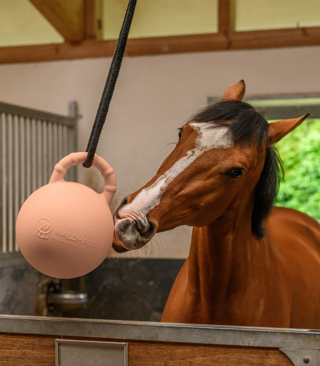 Fun Ball