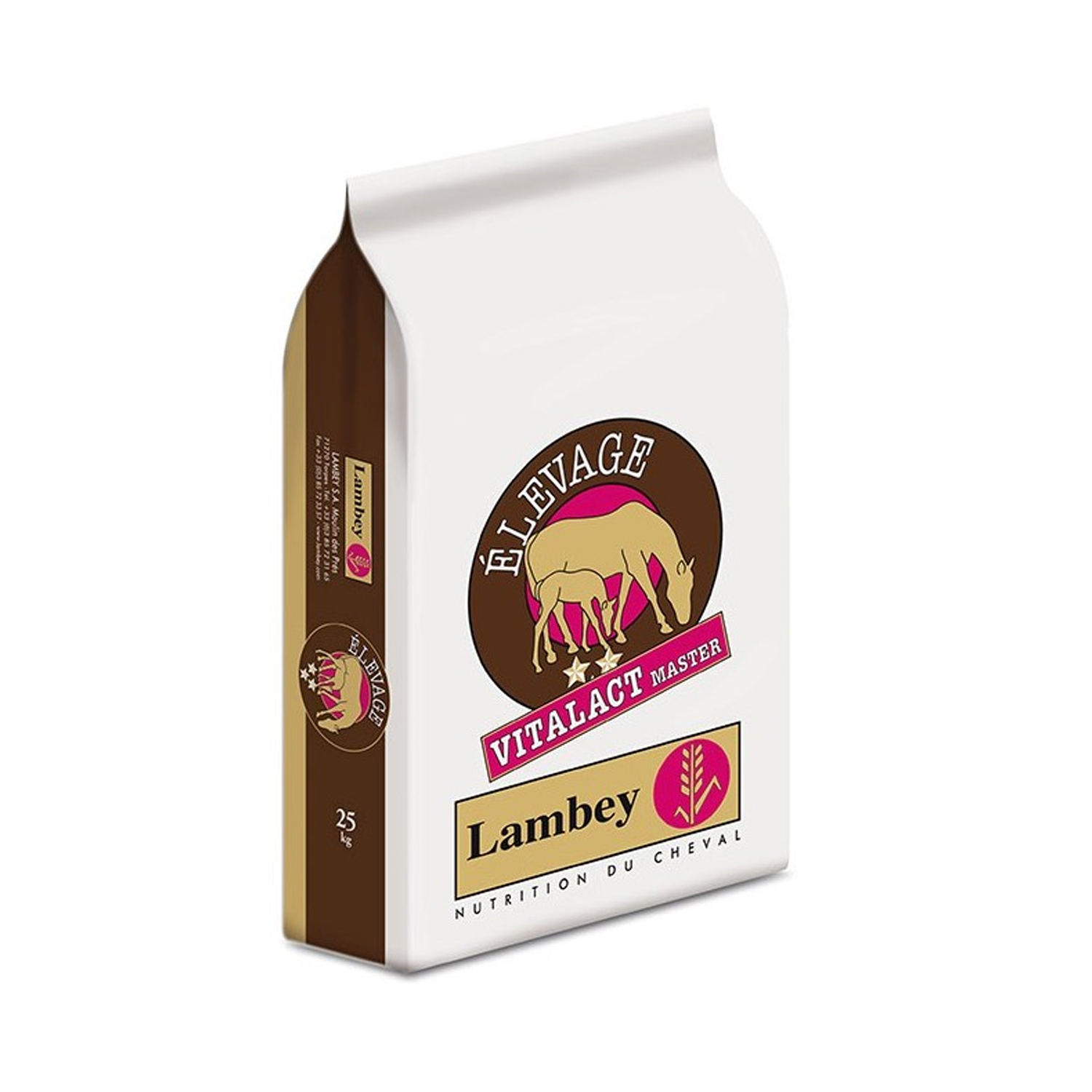 Lambey Vitalact Master