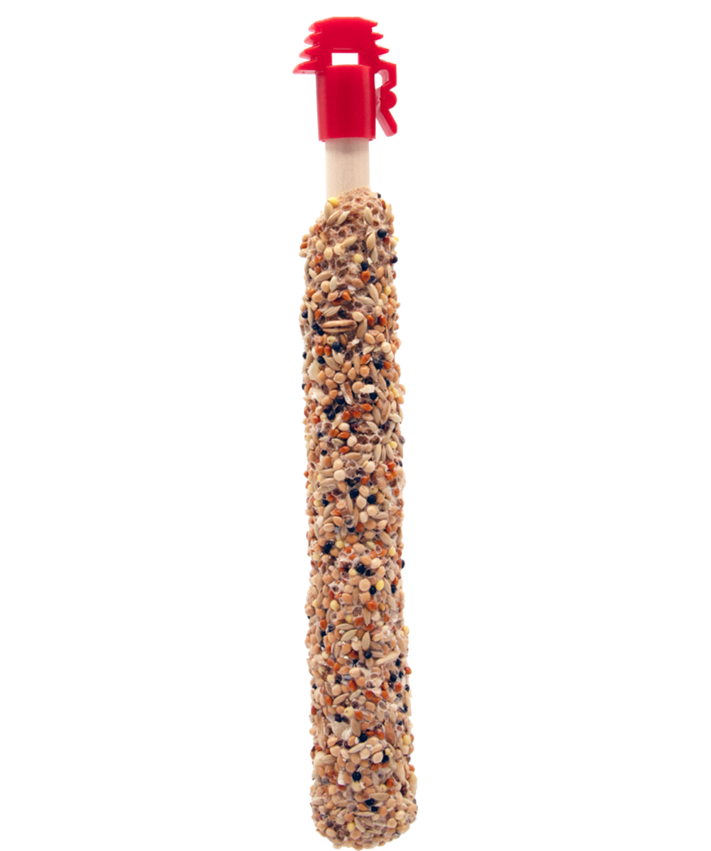 Sticks Kleine Papageien mit Nüssen & Rosinentopping