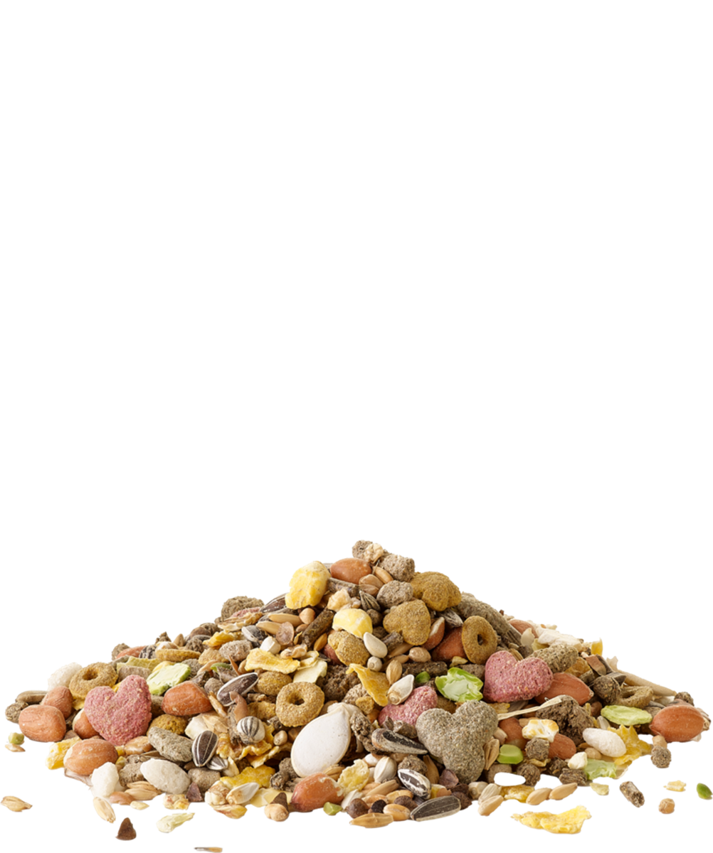 Müsli Hamster