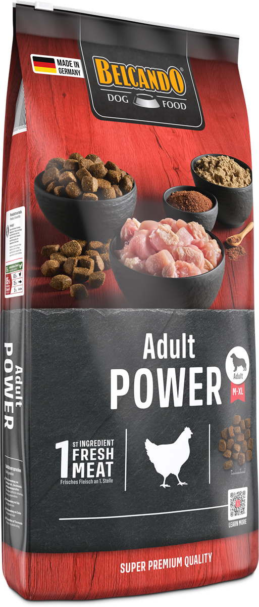 Adult Power