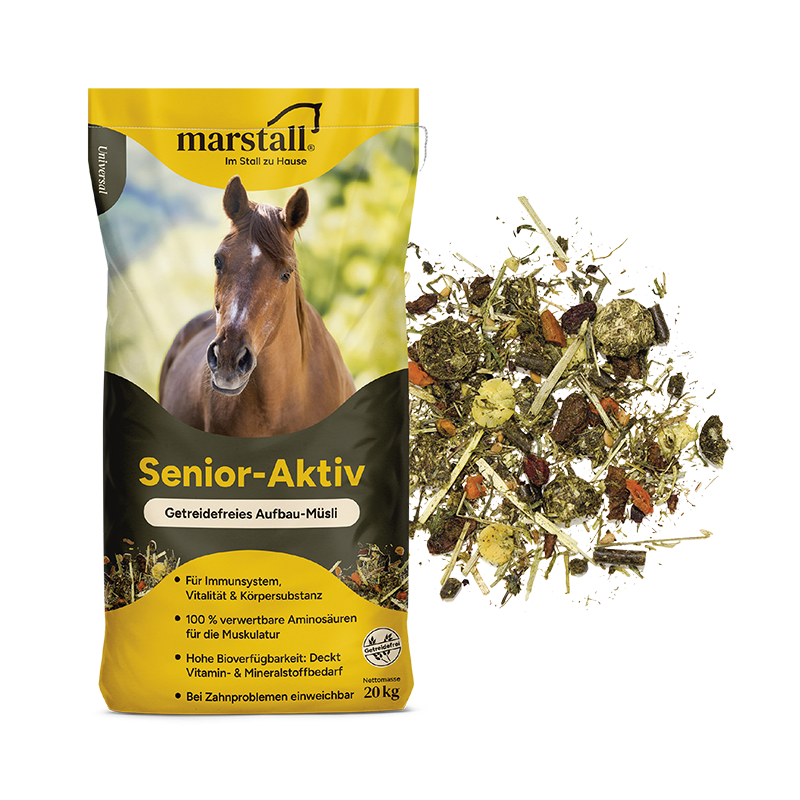 Senior-Aktiv