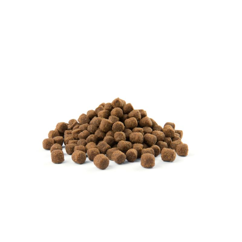 Versele-Laga OPTI LIFE Adult Digestion Mini Detail