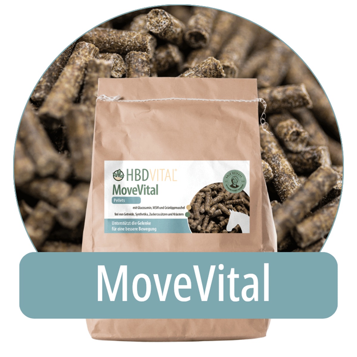 MoveVital