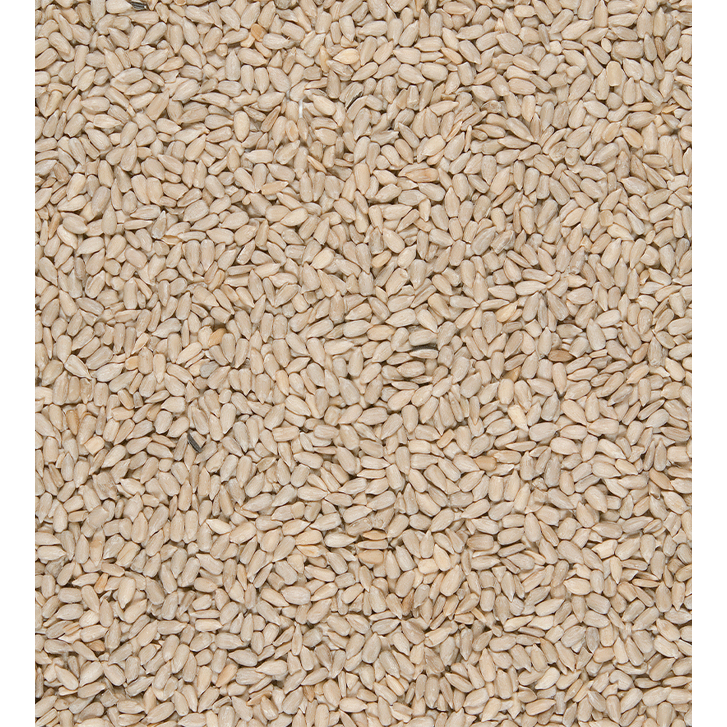 Versele-Laga Menu Nature Sunflower hearts Detail