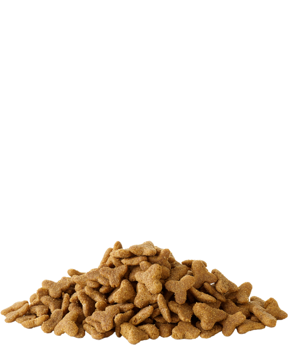 Extruded Pellets Ferret